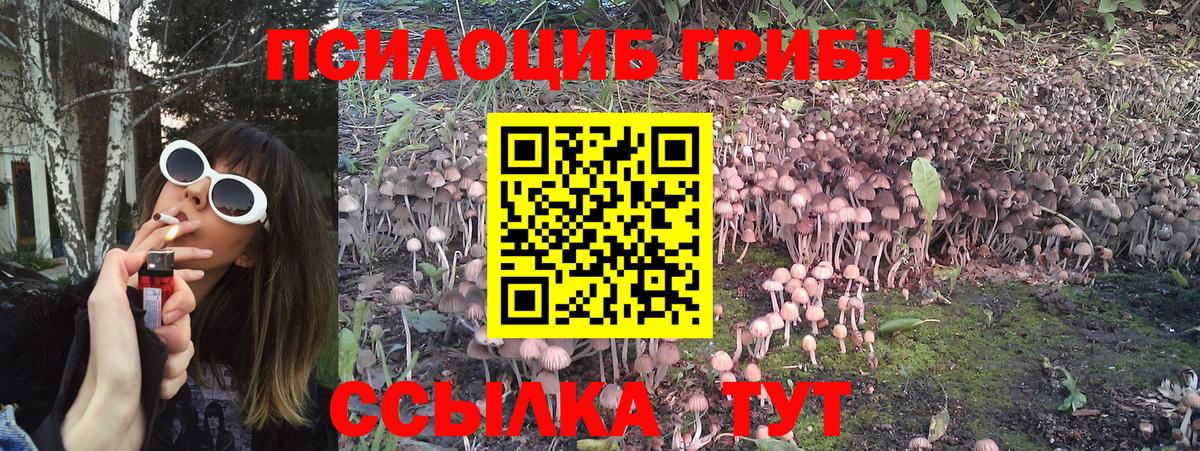 Псилоцибиновые грибы GOLDEN TEACHER  Вход с VPN  Заинск 