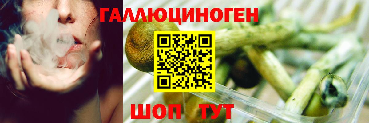 Псилоцибиновые грибы ЛСД Заинск